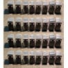 SYBT4-plp Cell Kit