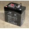 RA12-55 55AH Battery