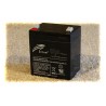 RT1245 12V 4.5AH