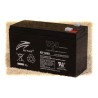 RBC17 Battery