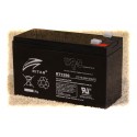 RBC164 Battery