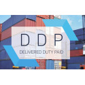 DDP for Martin D